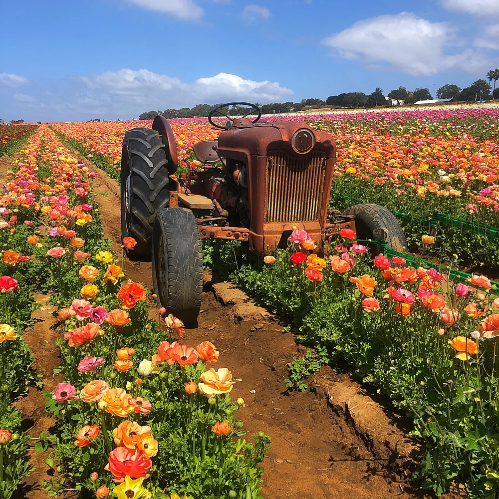 Whitagram-Image 5.JPG