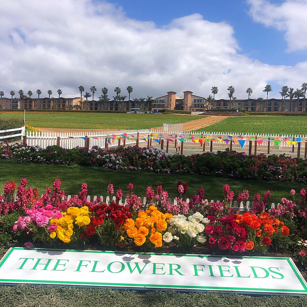 Whitagram-Image 9.JPG