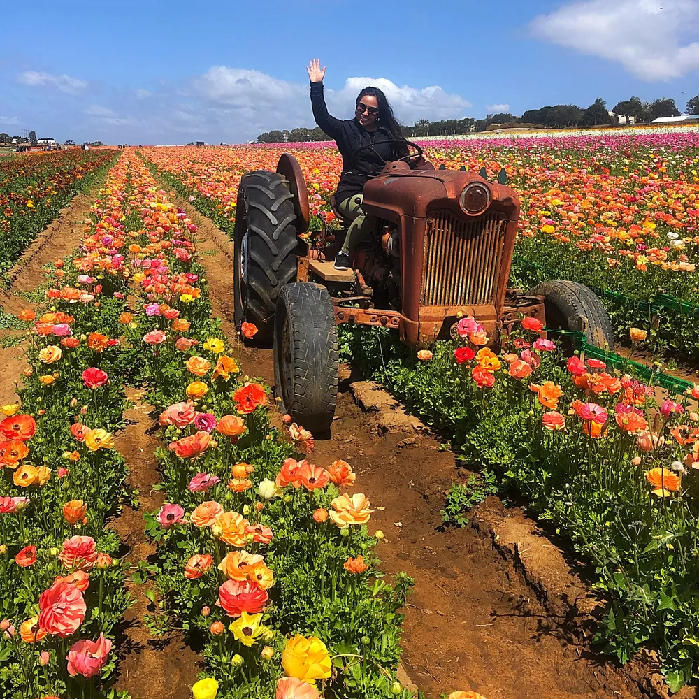 Whitagram-Image 12.JPG