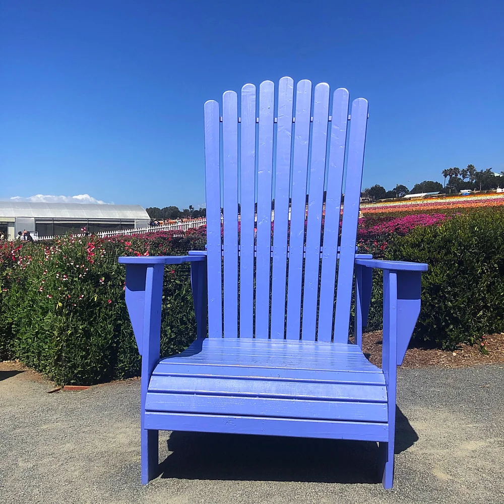 Whitagram-Image 15.JPG