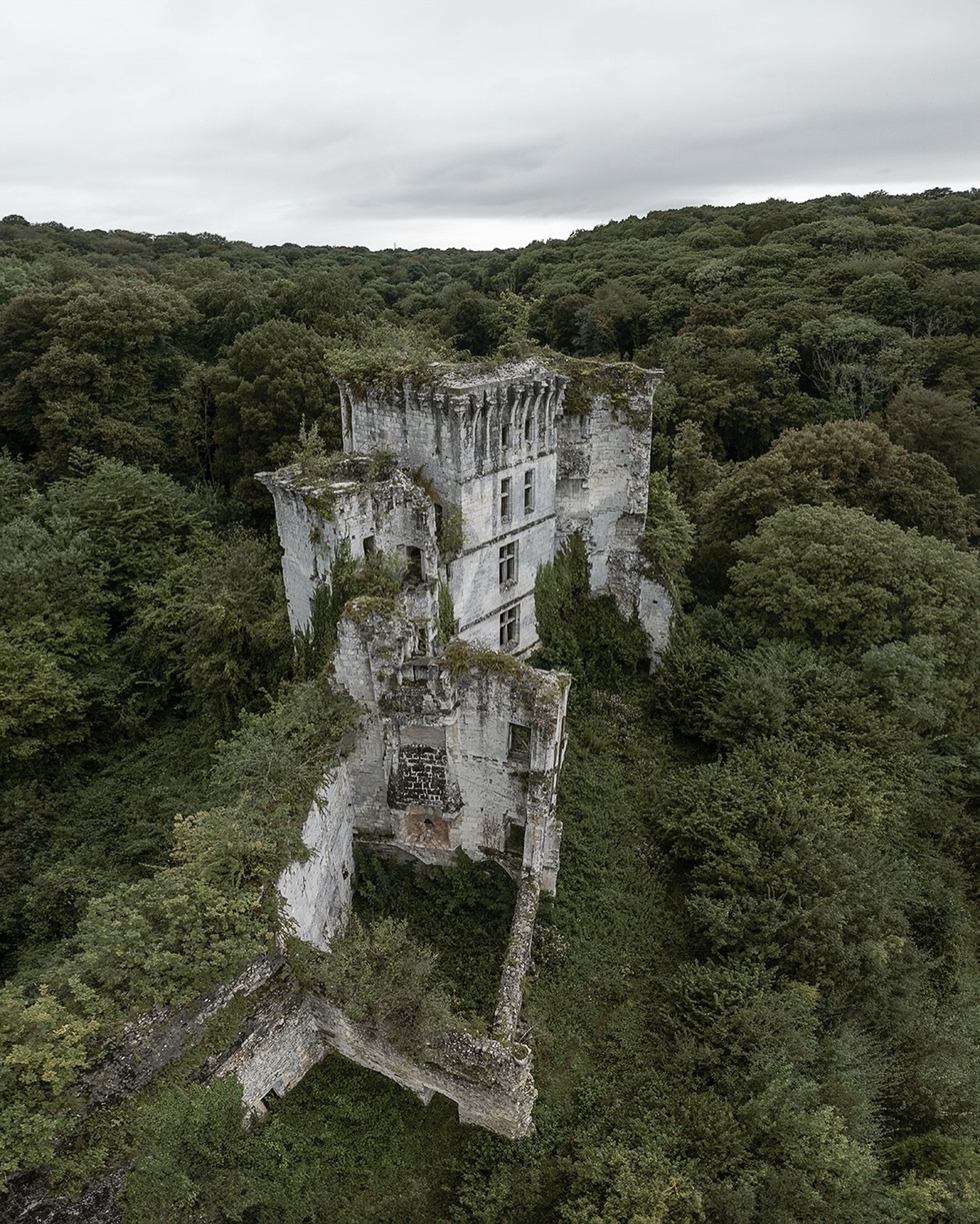 This is my home. Always has been, and always will be. I live here the way I desire, under the floor, or under the stars. I am one with the rodents, one with the roots that are the heritage of people staying away. I remember the crusaders, and the kin