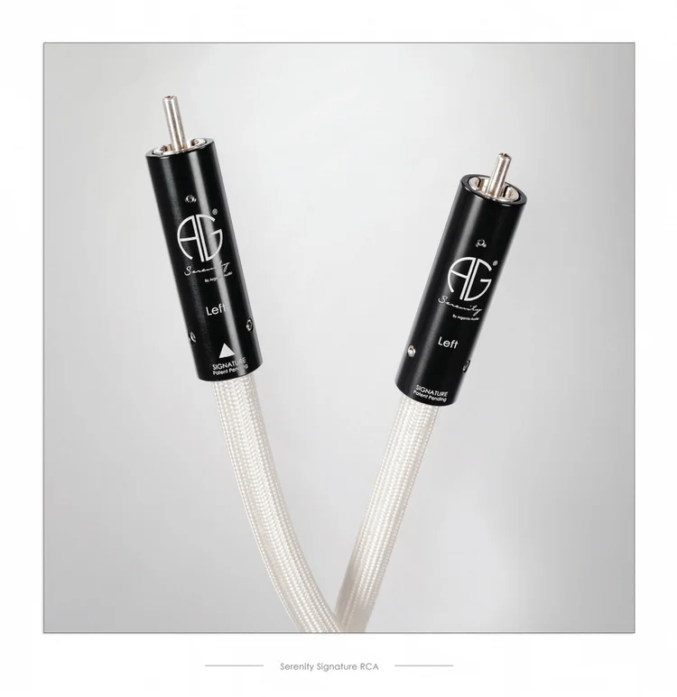 Coppia Cavo Di Interconnessione Audio HiFi Argento Puro RCA
