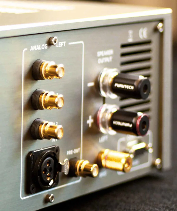 AUDIONET WATT integrated amplifier rear detail