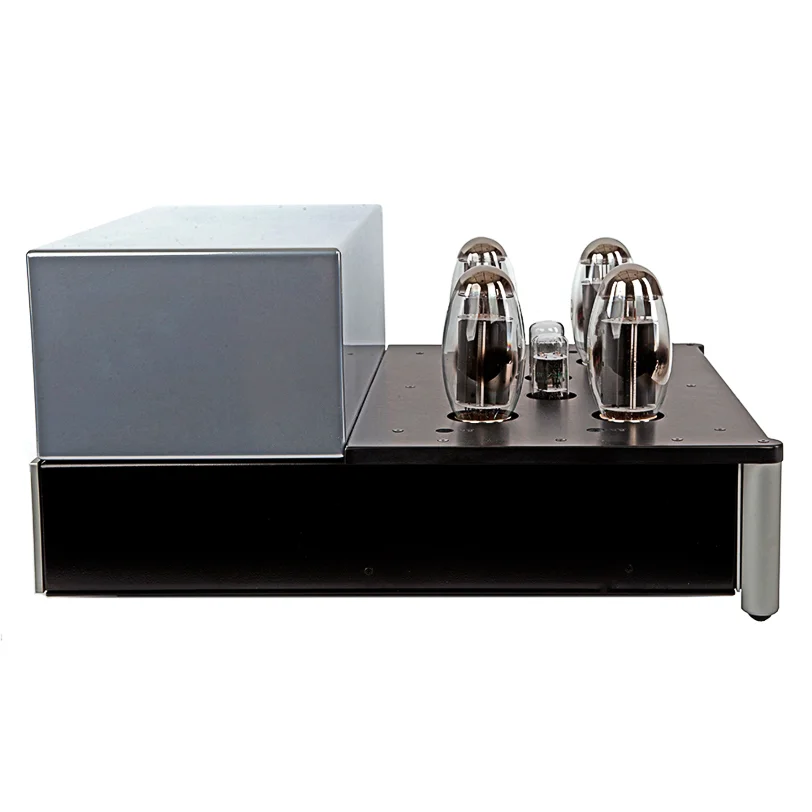 Doshi V3.0 Monoblock Amplifier-3.jpg
