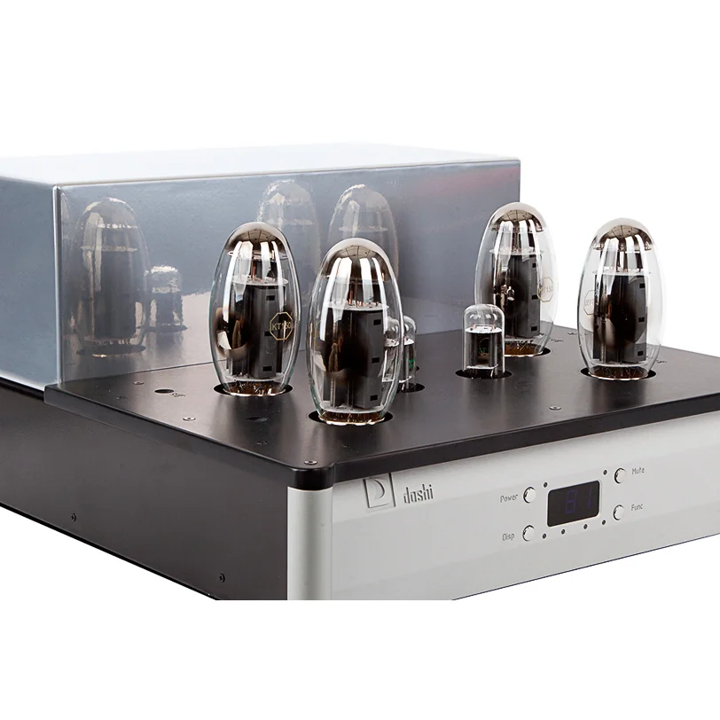 Doshi V3.0 Monoblock Amplifier-6.jpg