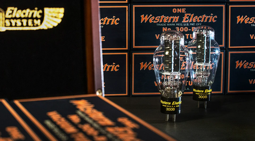WE 300b Valves