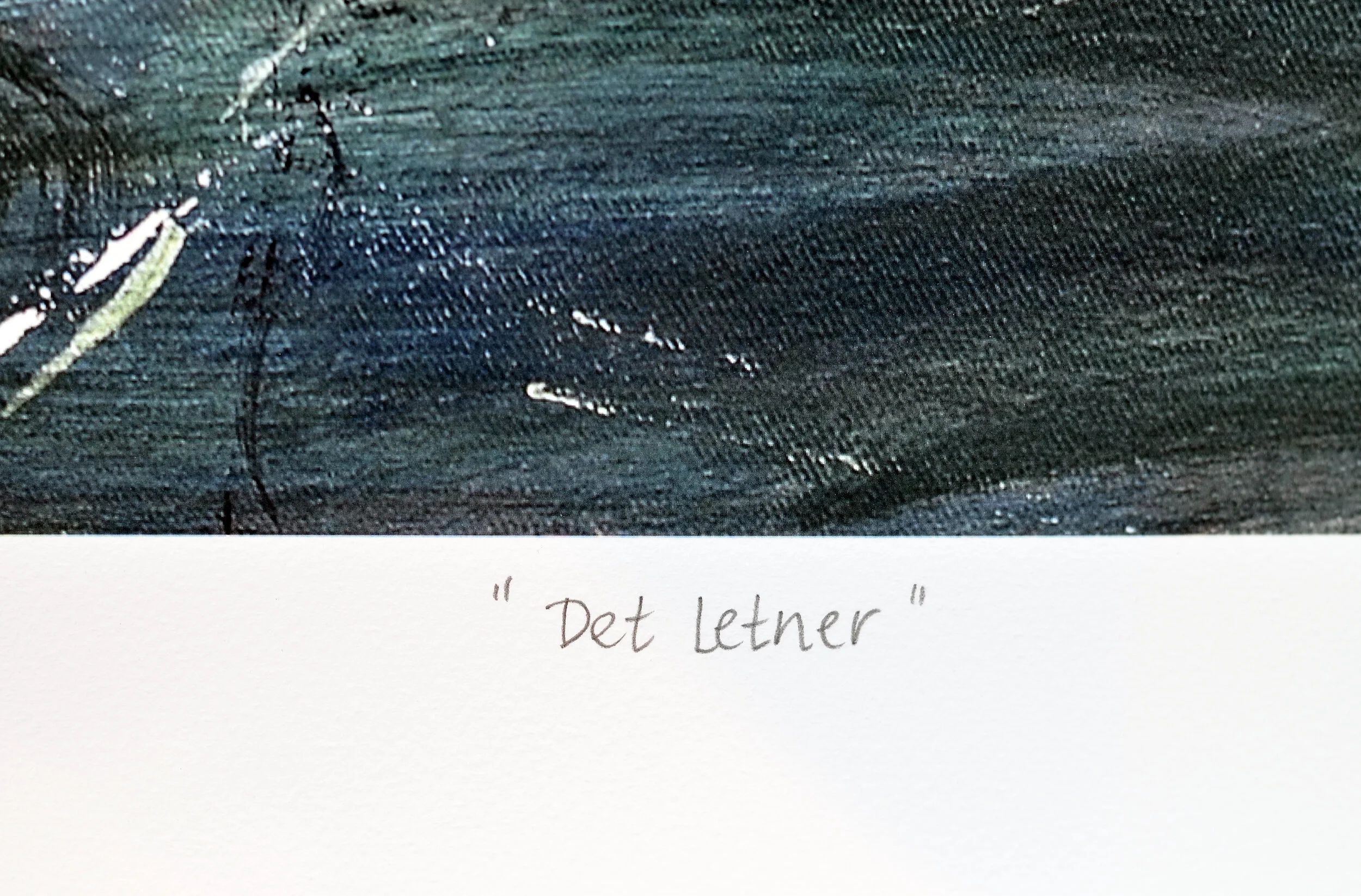 Det letner-tittel.jpg