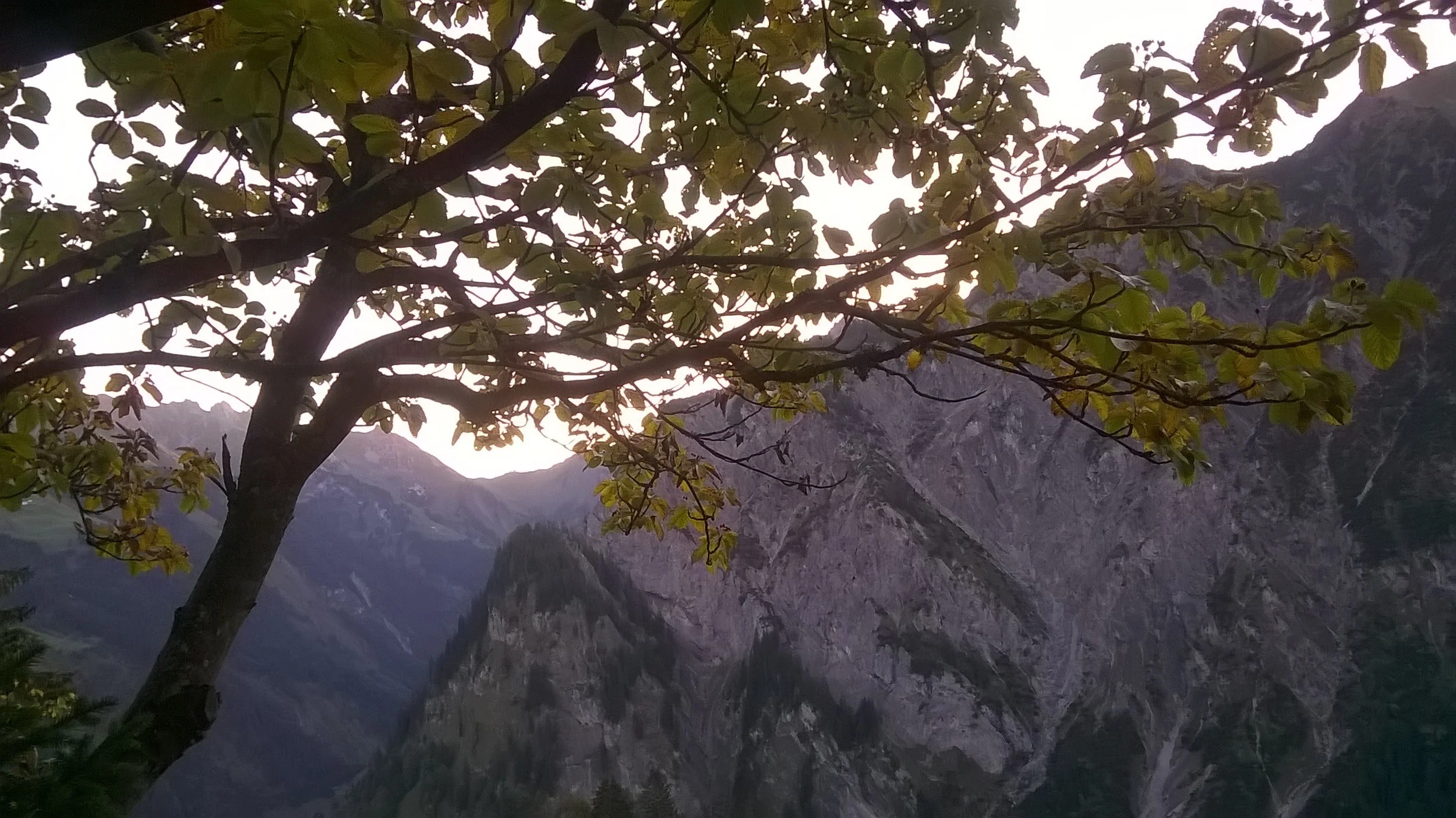 Windows Phone_20140920_07_32_10_Pro.jpg