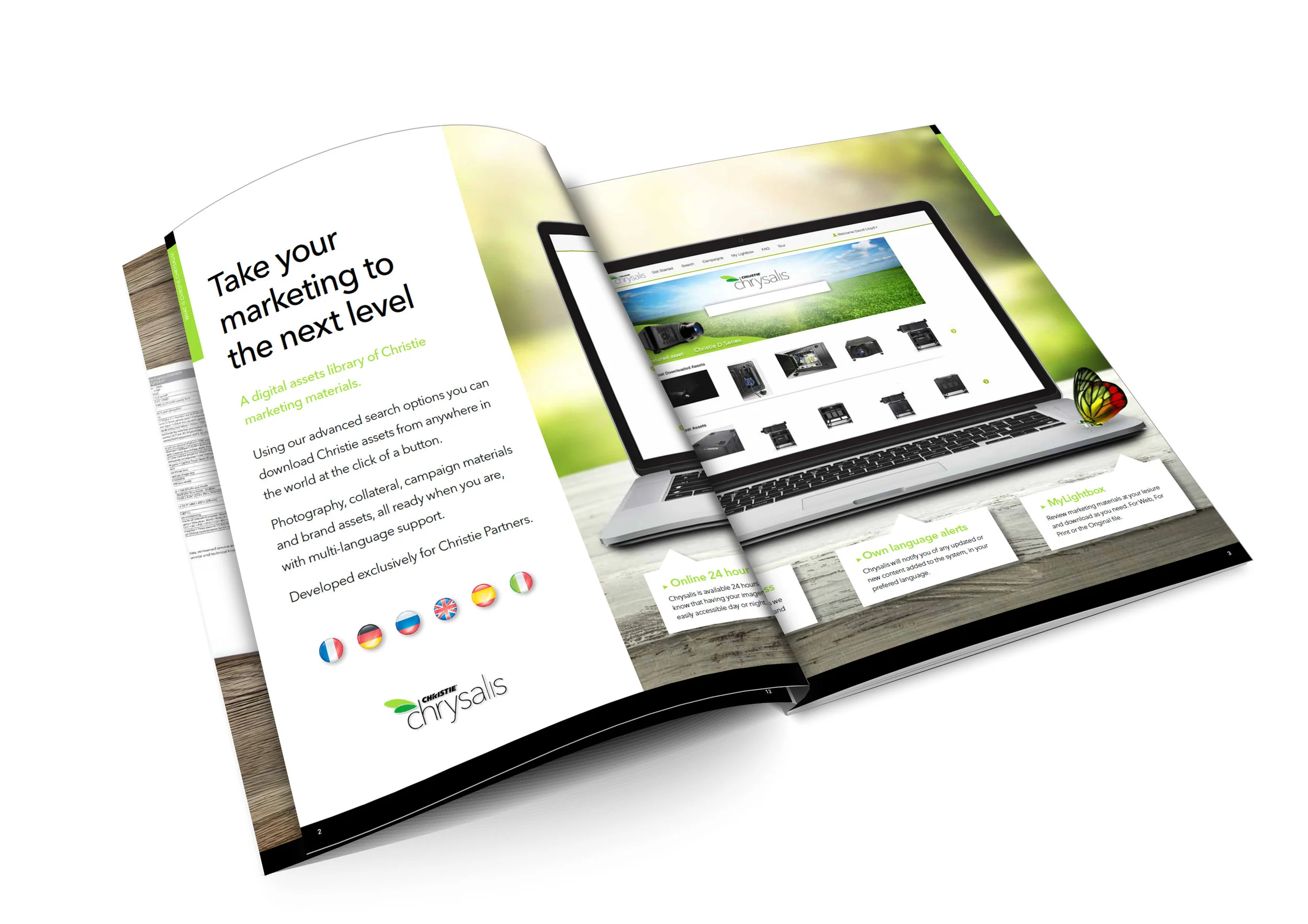 Chrysalis_Brochure_Visual2.jpg