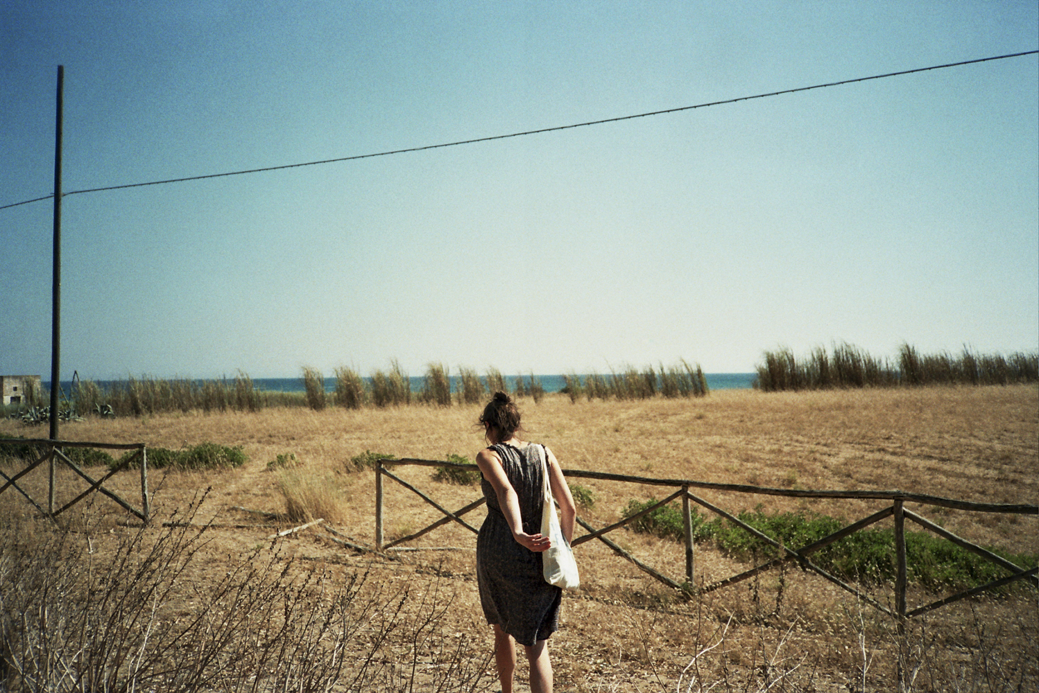Fields - Sicily, 2015