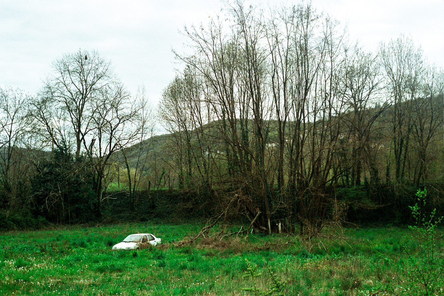 Car - Valée du Lot, 2016 