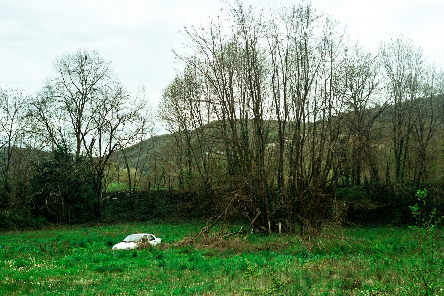 Car - Valée du Lot, 2016