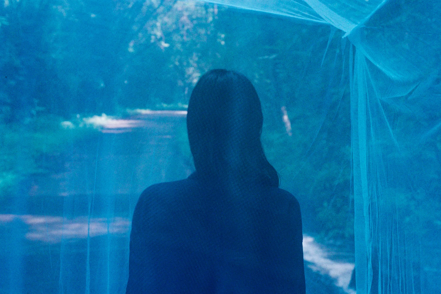 Blue - Cát Tiên, 2017