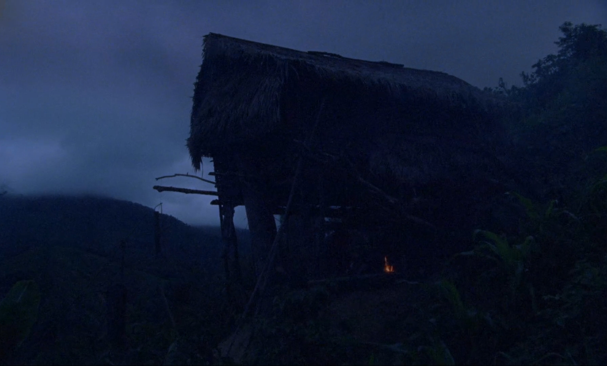 treehouse3.jpg