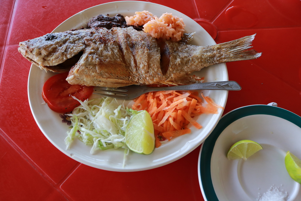 A Day Trip to Lake Bacalar - Mexico