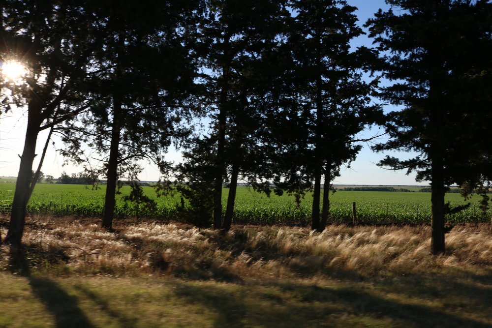 A pit stop in La Pampa - Argentina