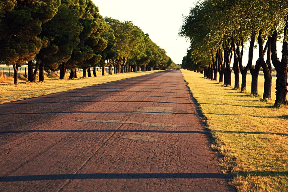 A pit stop in La Pampa - Argentina