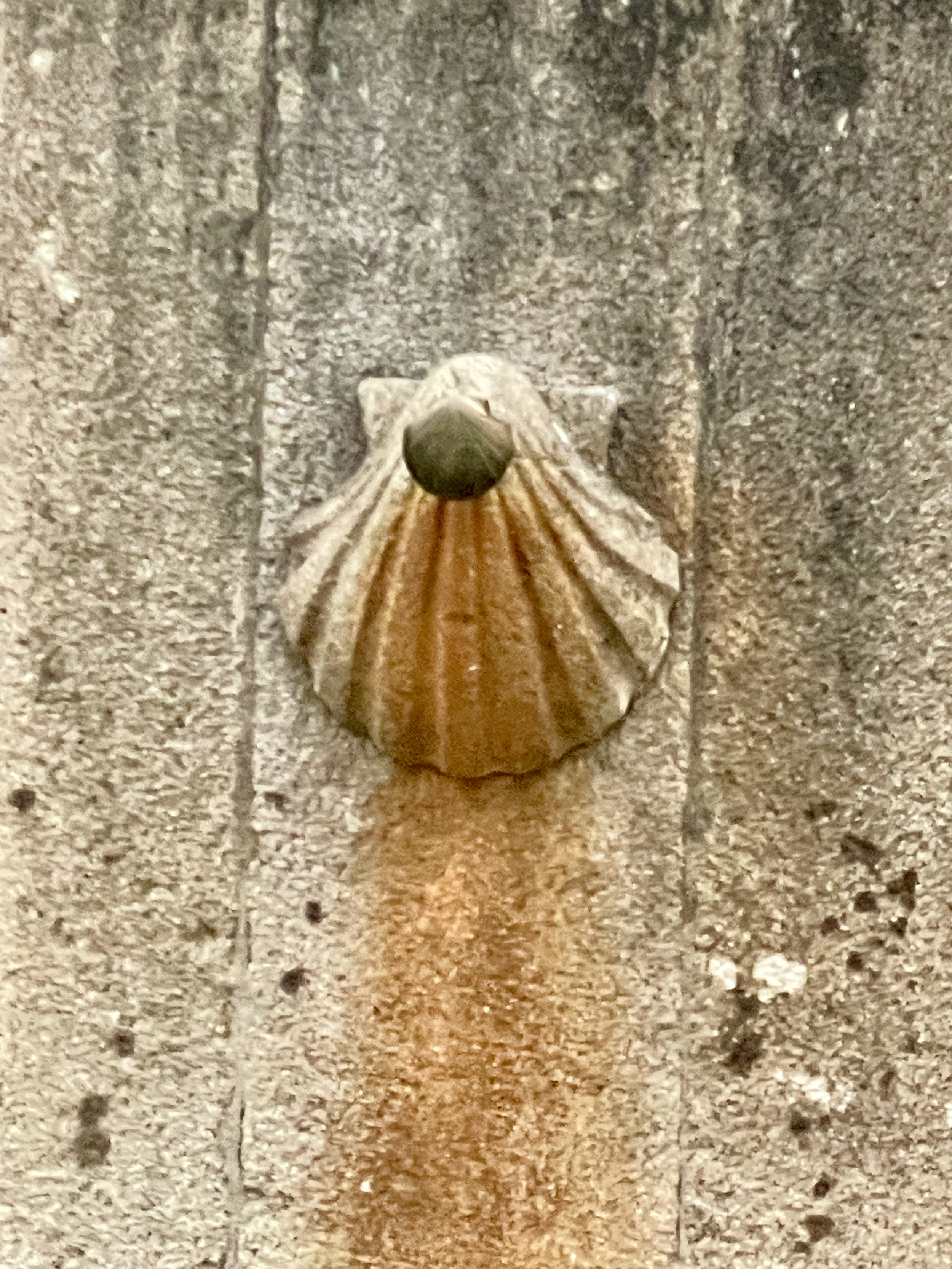 IMG_2559.png