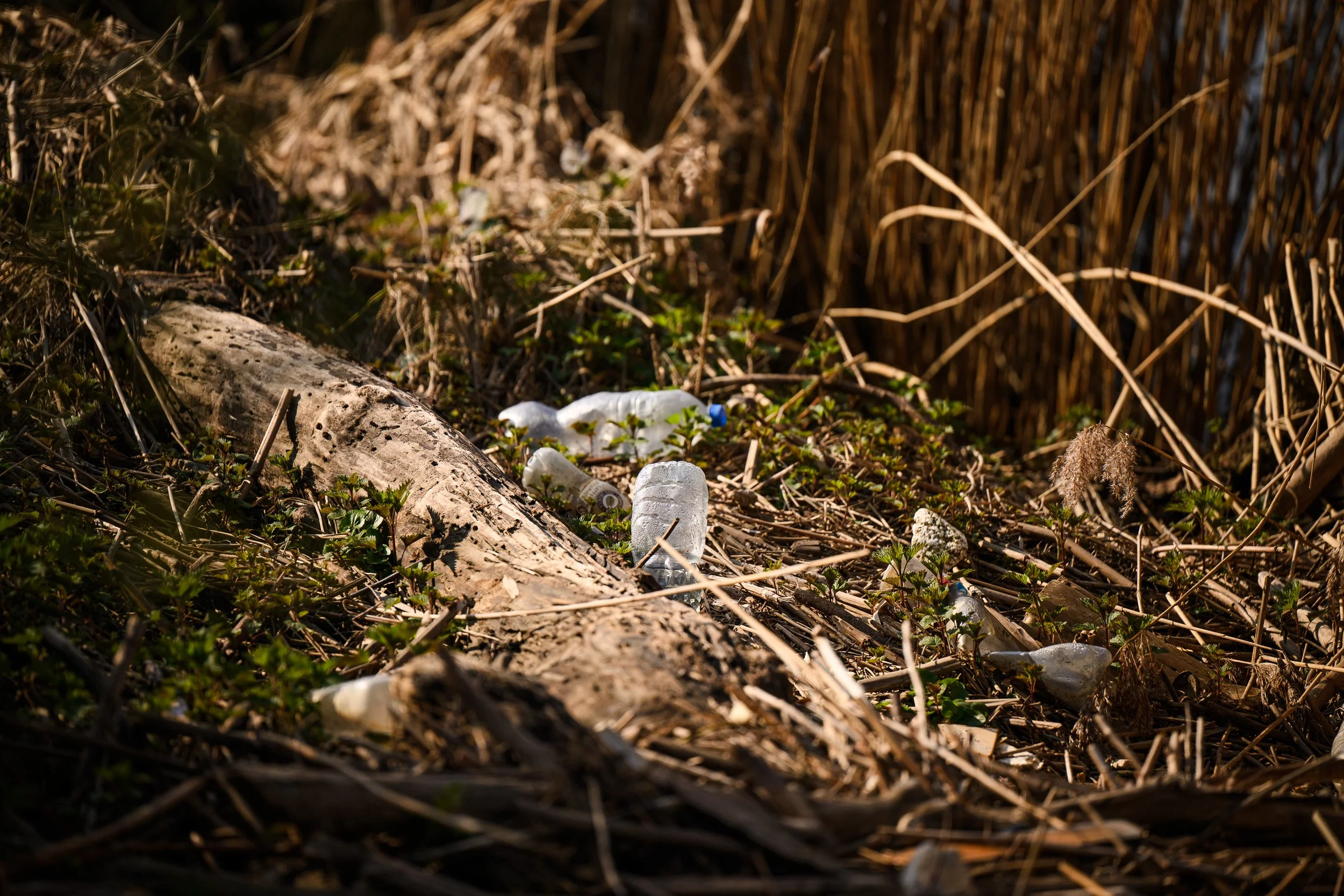Maas Cleanup Day (LR)-34.jpg