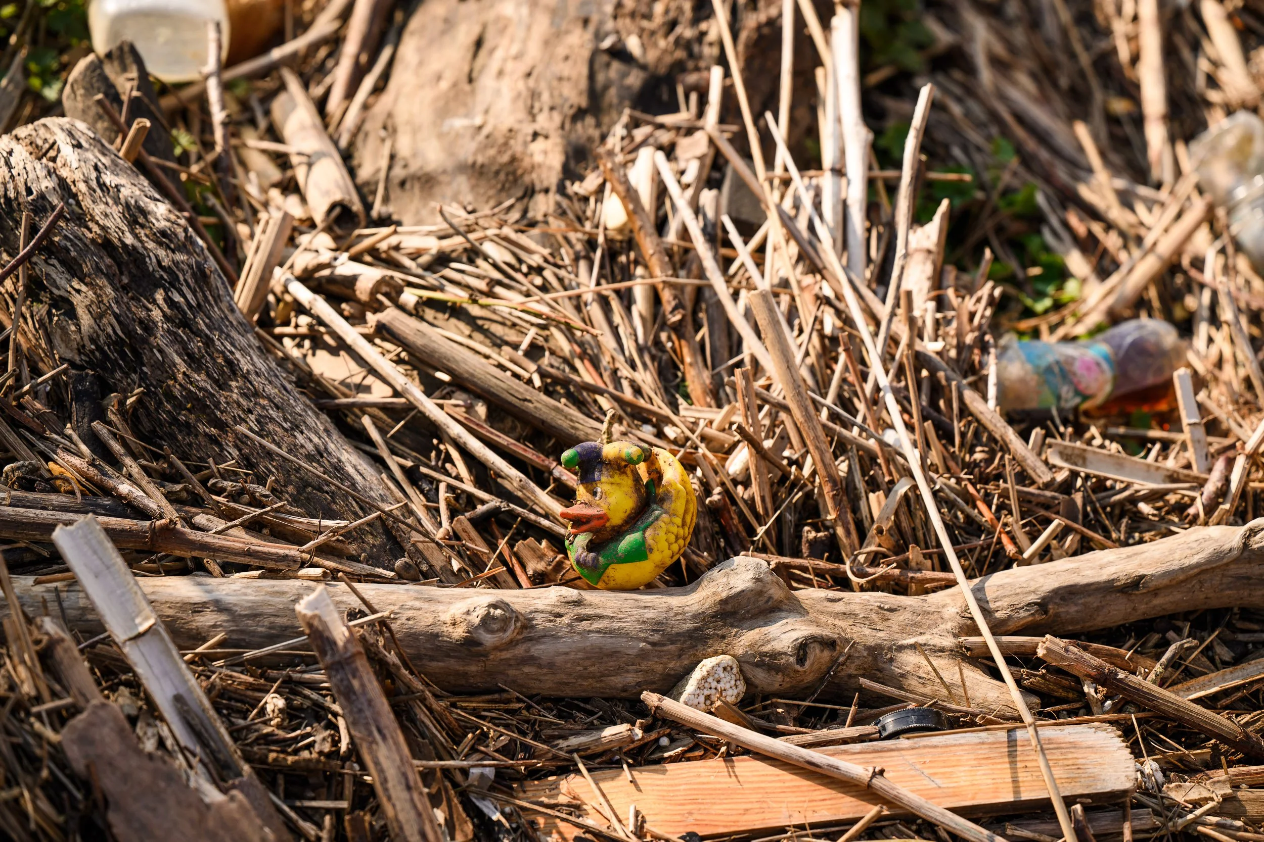 Maas Cleanup Day (LR)-35.jpg