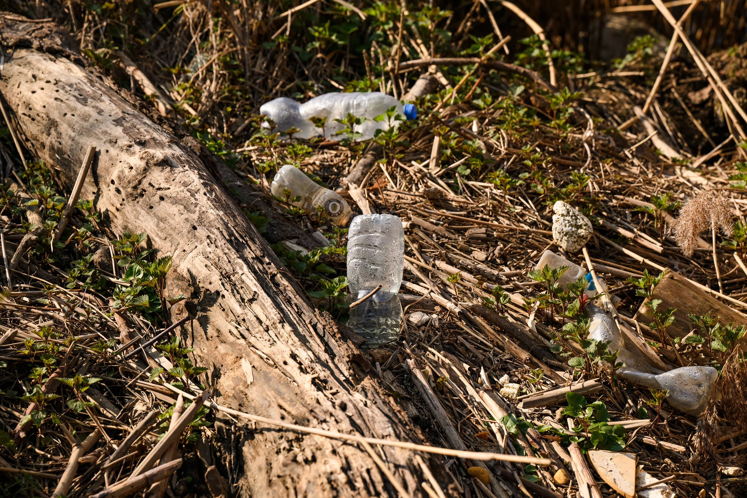 Maas Cleanup Day (LR)-36.jpg