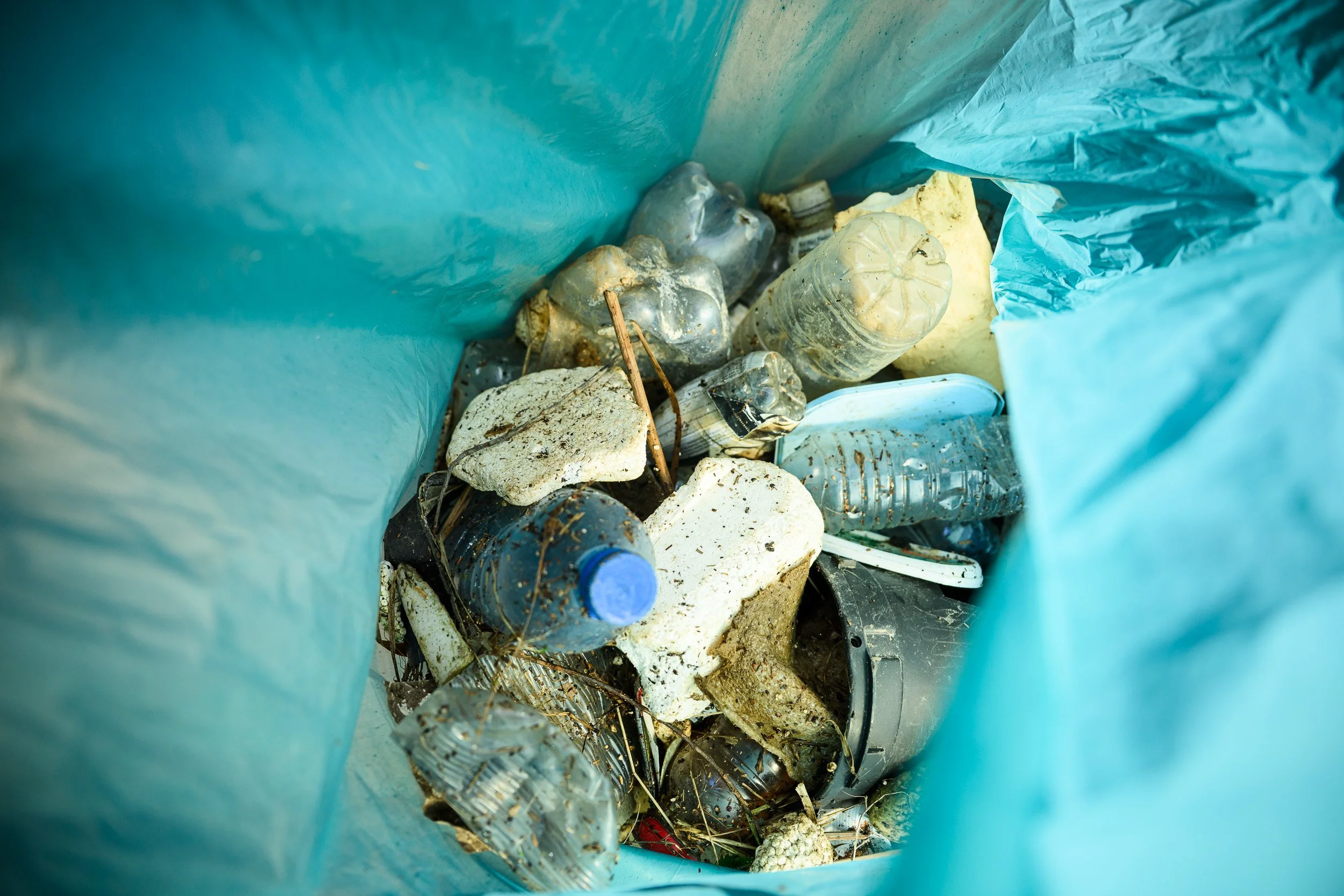 Maas Cleanup Day (LR)-78.jpg