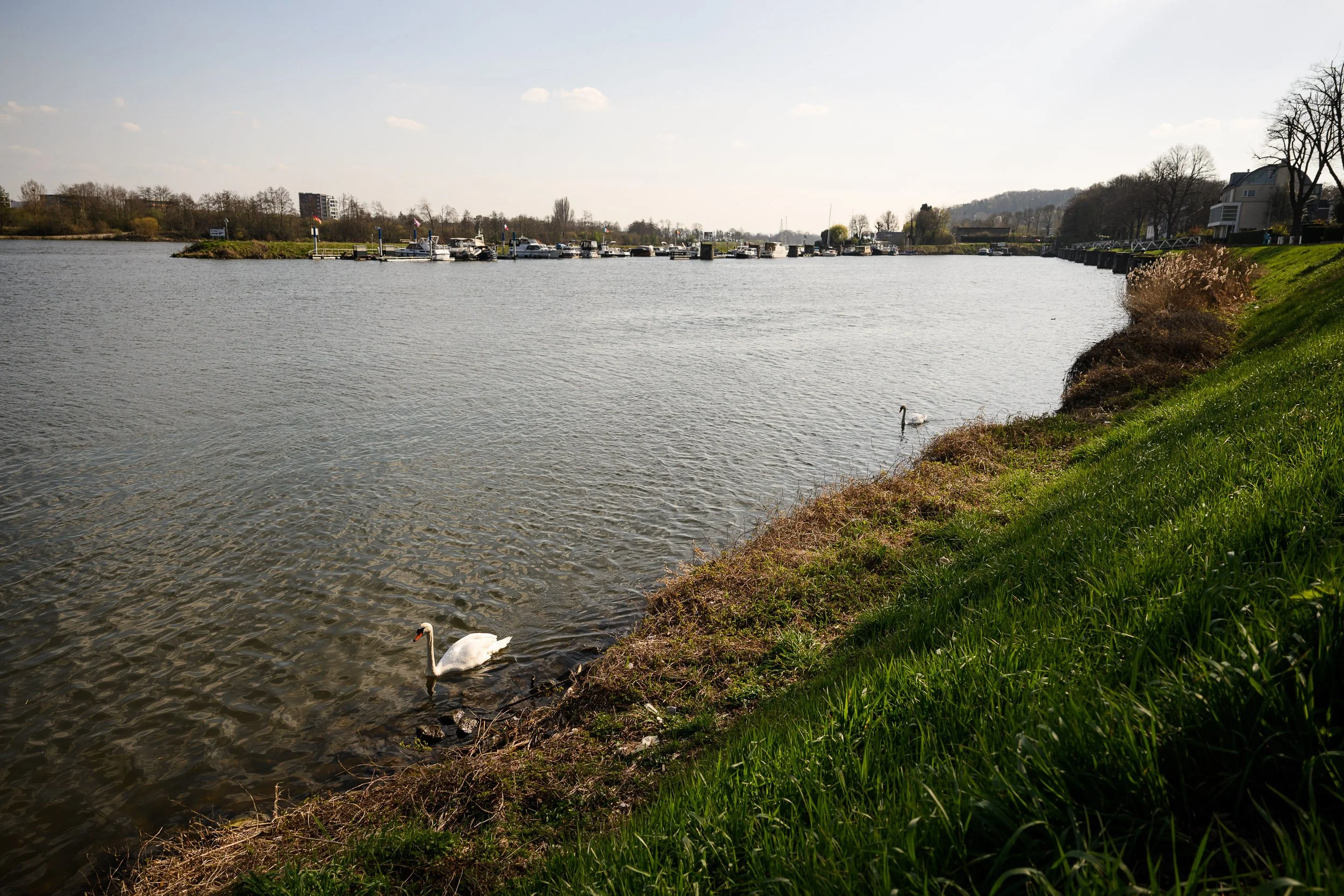 Maas Cleanup Viastory (LR)-71.jpg