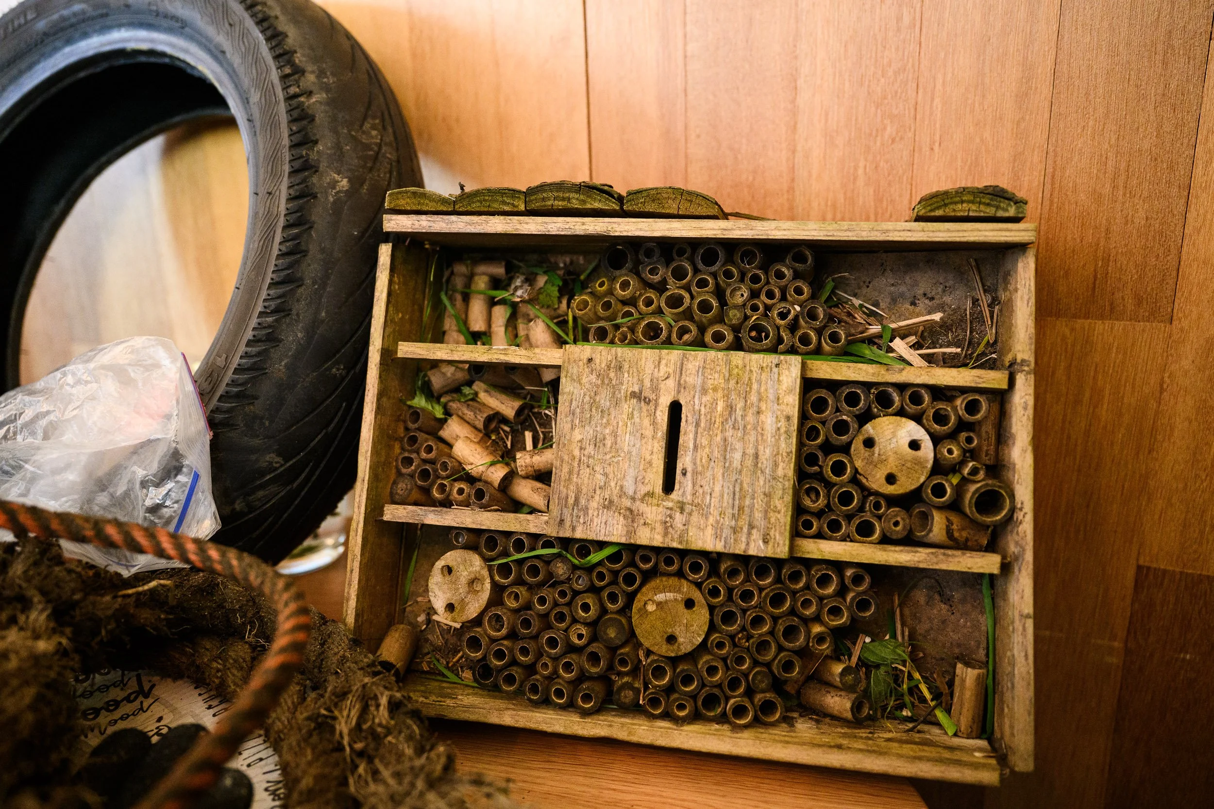 Maas Cleanup Viastory (LR)-108.jpg