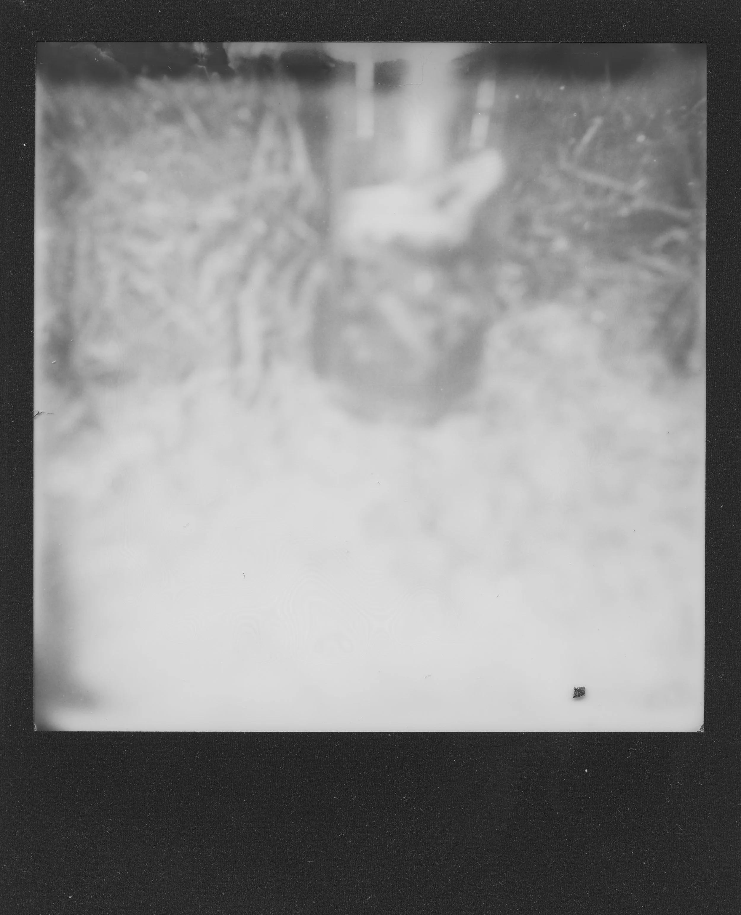 sam-4.jpg