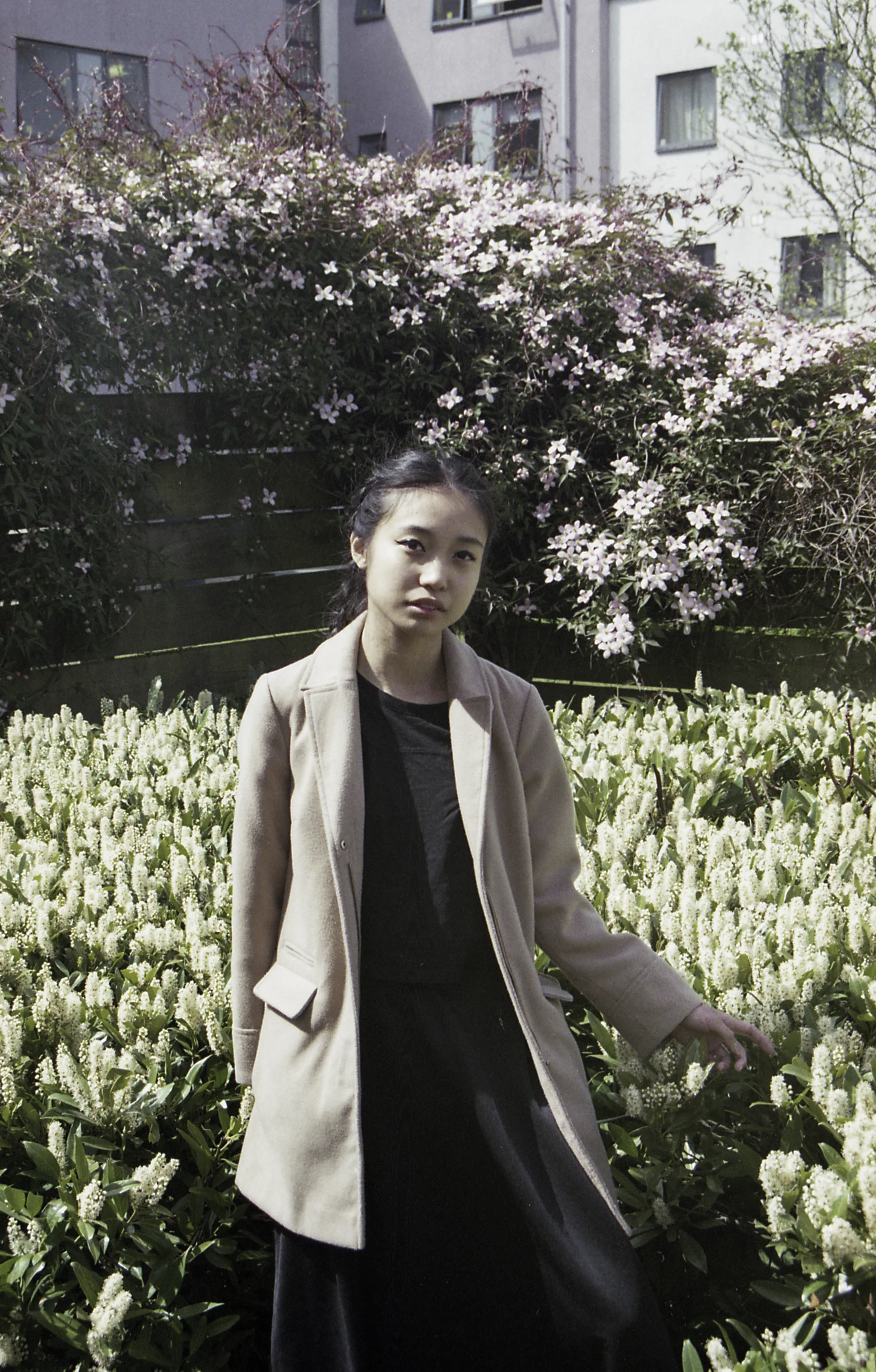 Stella Outside-3.jpg