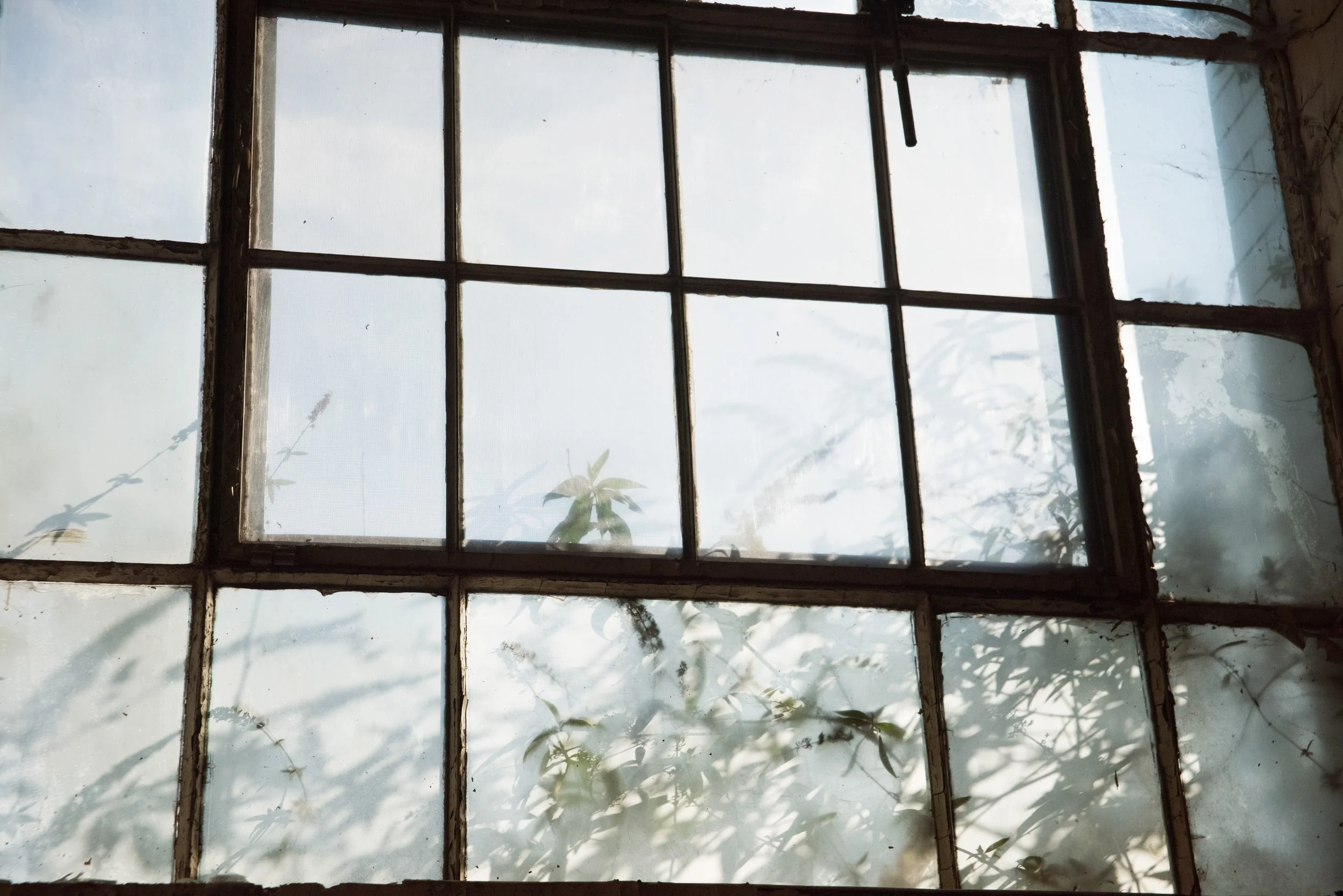 window-copy.jpg