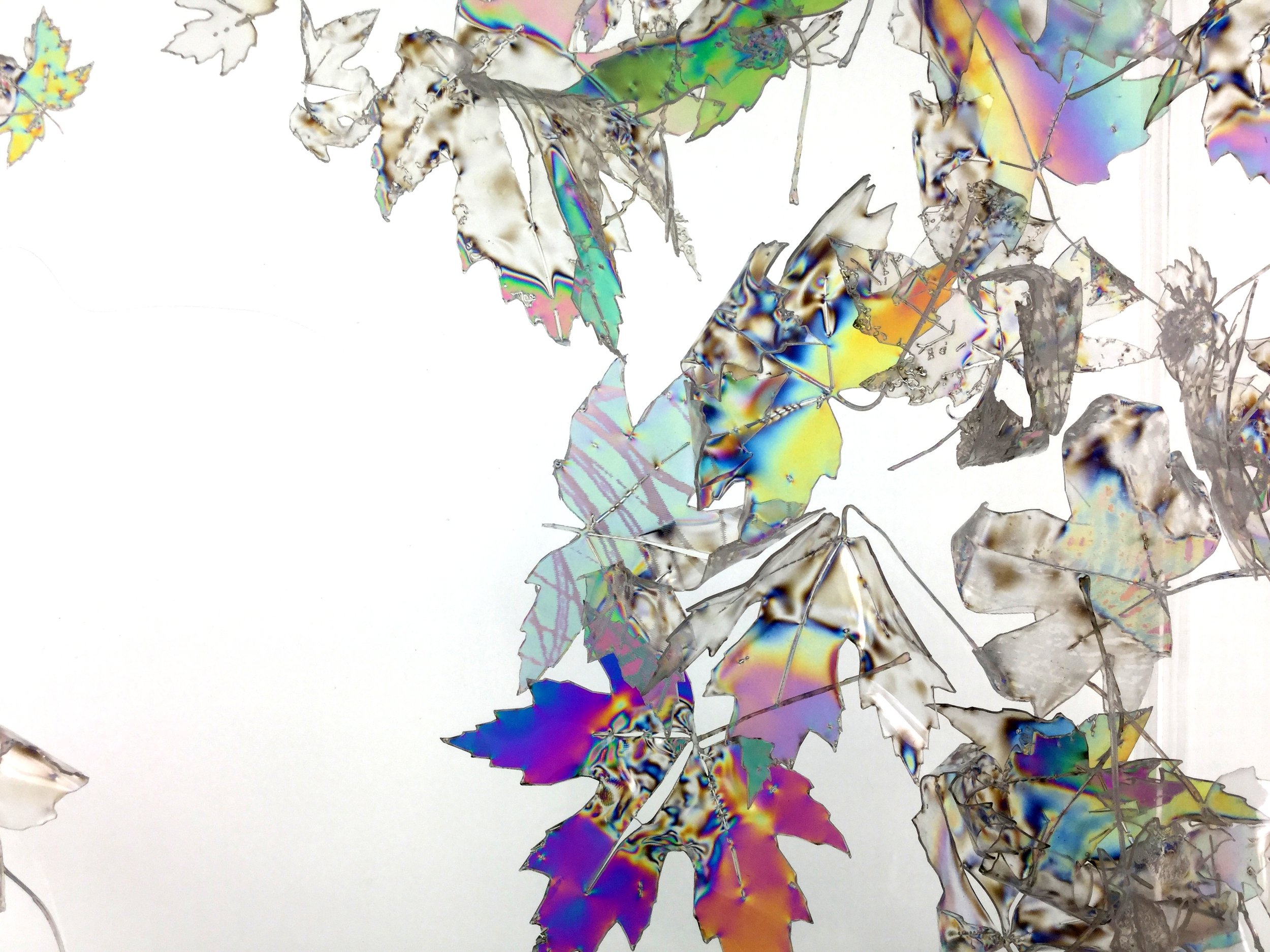 Jasmine Pradissitto studio visit