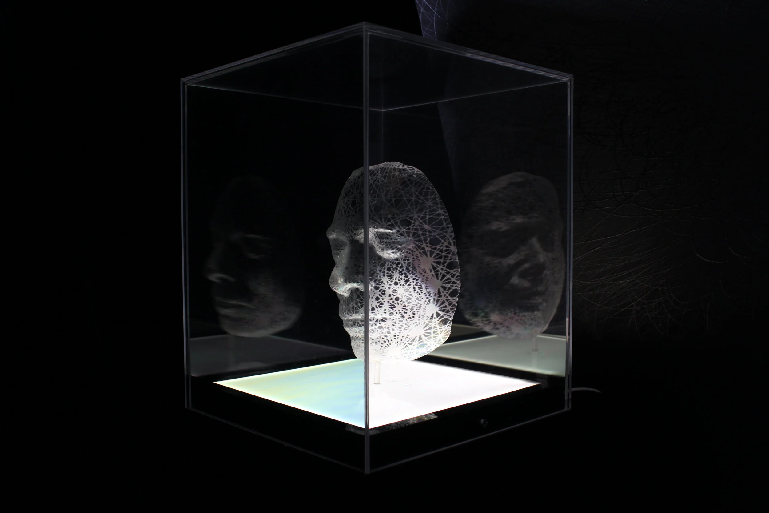 Emeritus Professor Arthur Miller 2015 in light and plastics