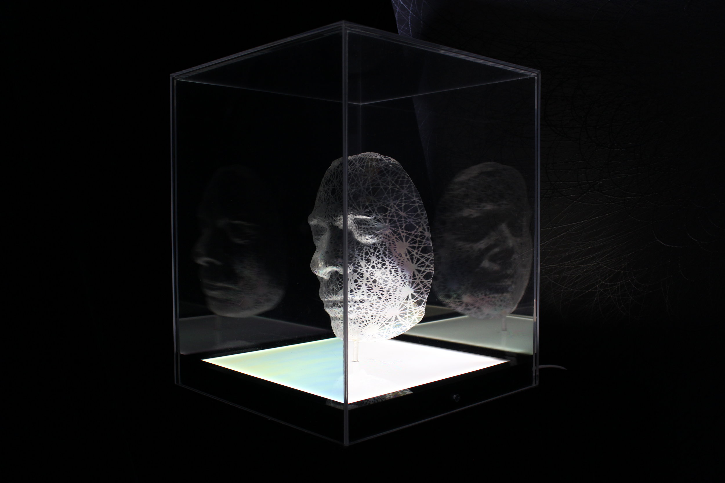 Emeritus Professor Arthur Miller 2015 in light and plastics