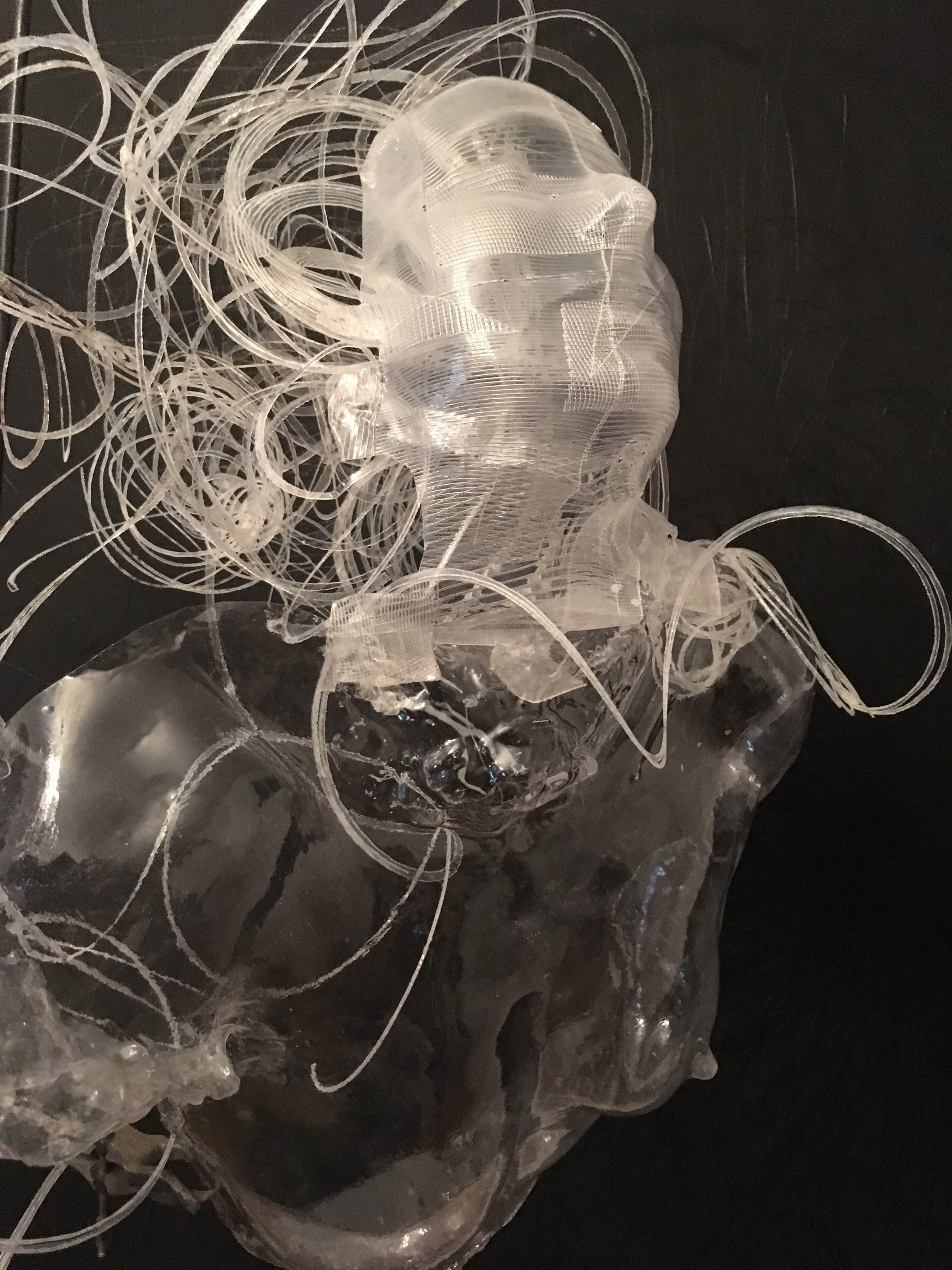 Dreaming of Schrodinger’s Cat, 2016 in light and plastics. Image courtesy of Maria Katsika: www.marinetanguyart.com