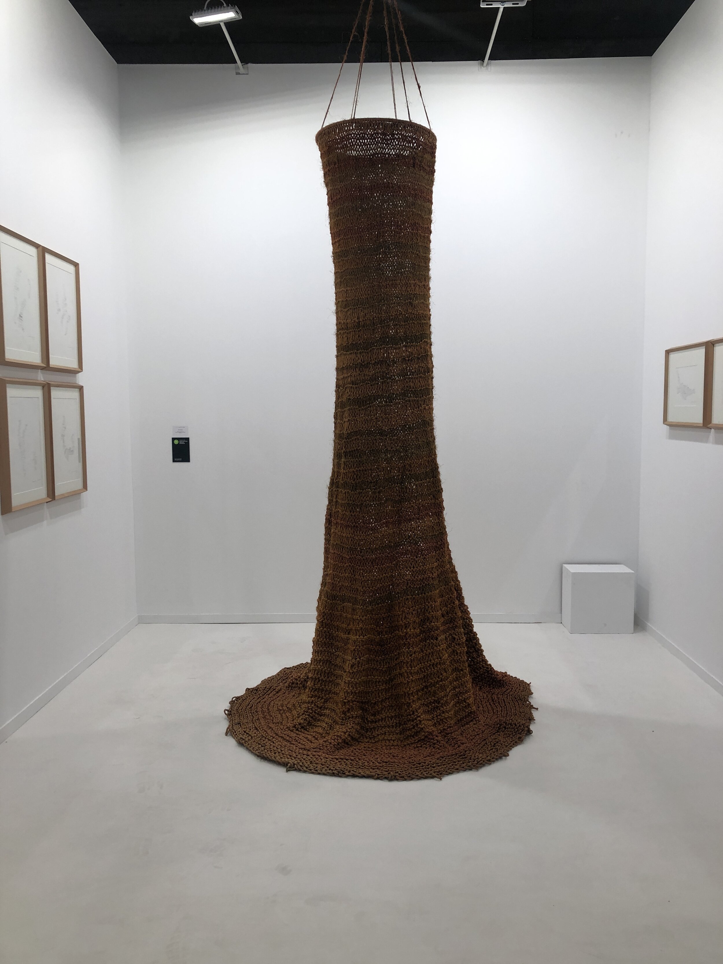 Forma en la naturaleza, 1971