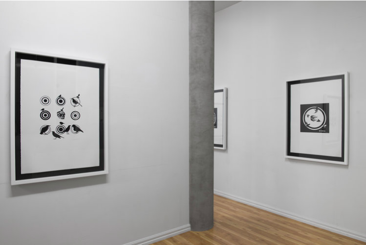 Robert Jahnke, Nga Manu a Maui: The birds of Maui I-IV 2015