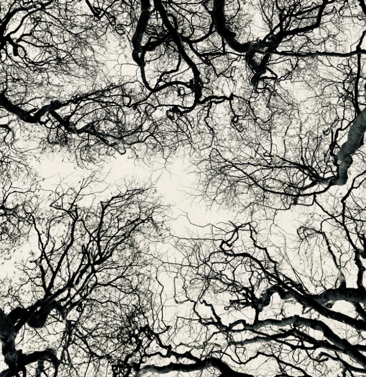 Fractured