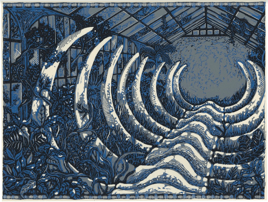 Mystery of the whalebone - Anupa Gardner
