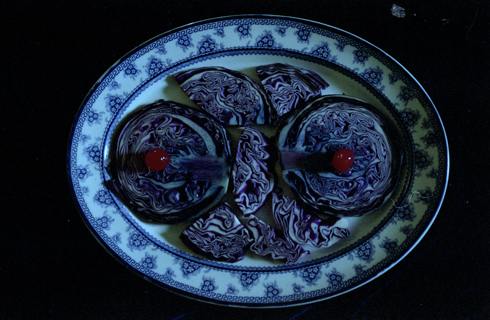 Still Life, C-Type print, 2019. Courtesy Morwenna Kearsley and Patrick Jameson.
