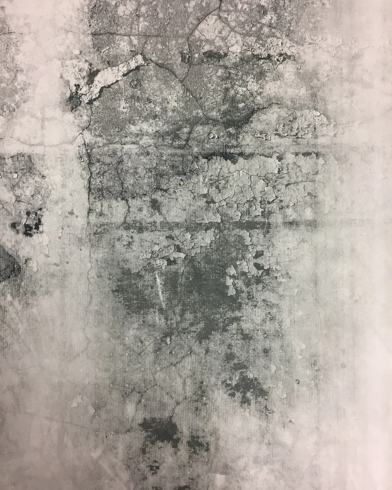 008_Walls 4_Kristina Chan.jpg