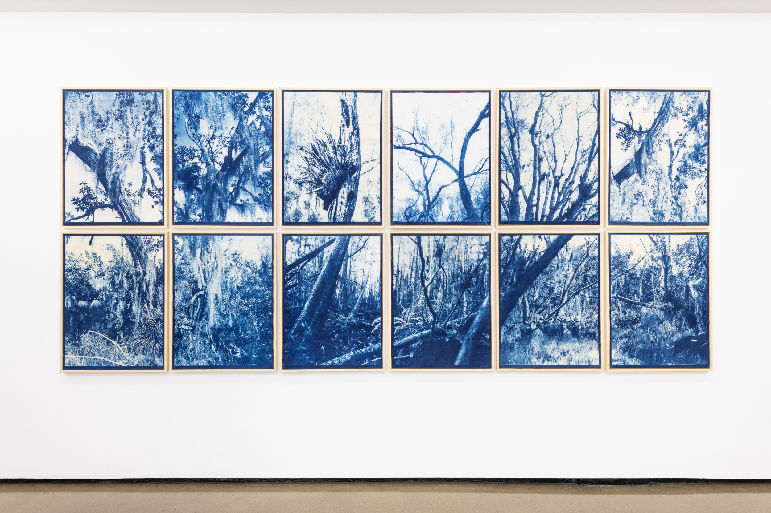Dream in Blue, Cyanotype, Kristina Chan &amp; Itamar Freed, 2019. Photo by Damian Griffiths
