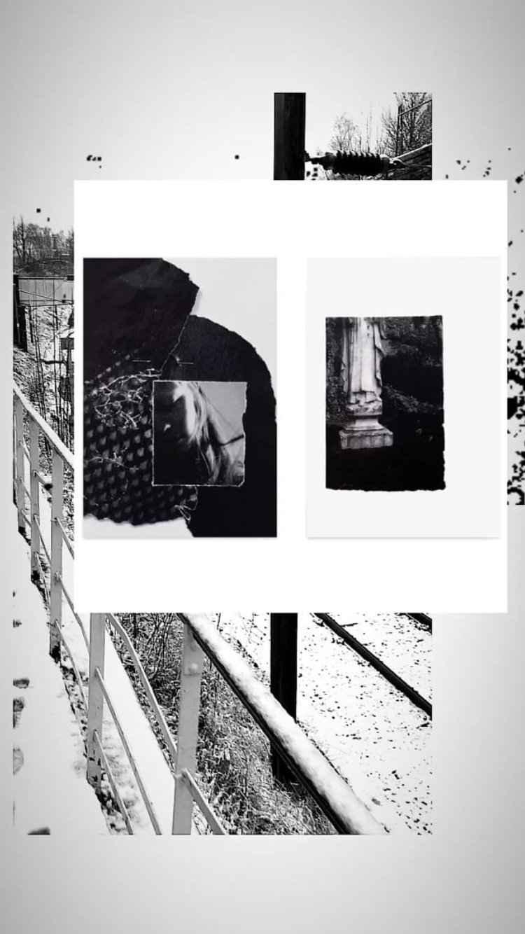 IMG_1409.PNG
