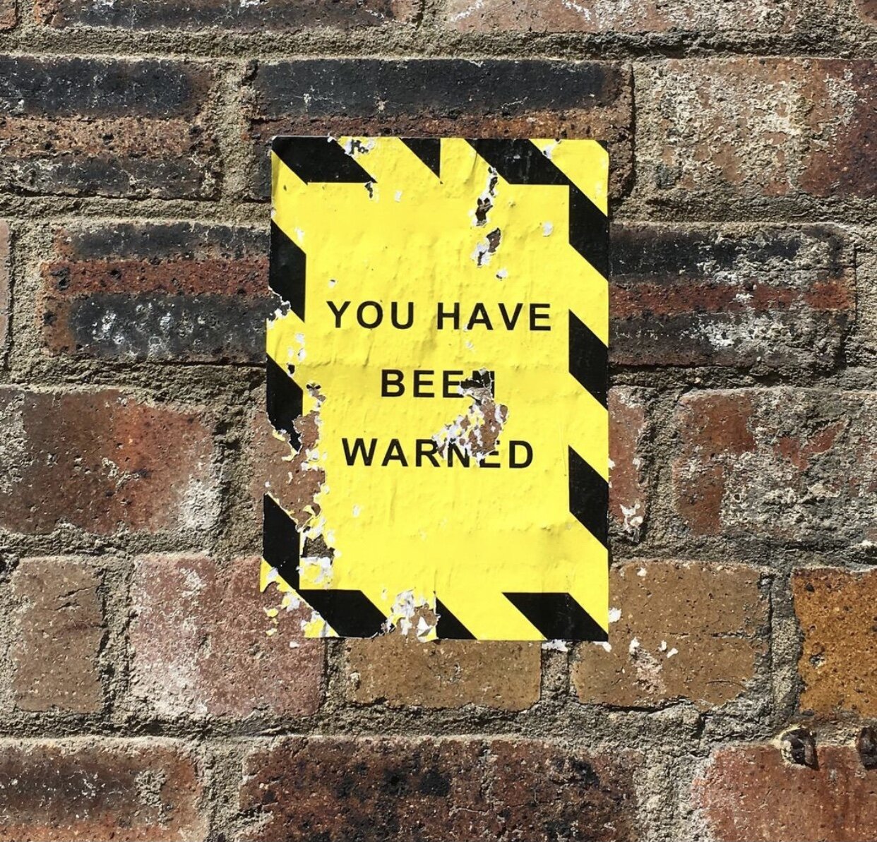 You Have Been Warned by Scott Hudson