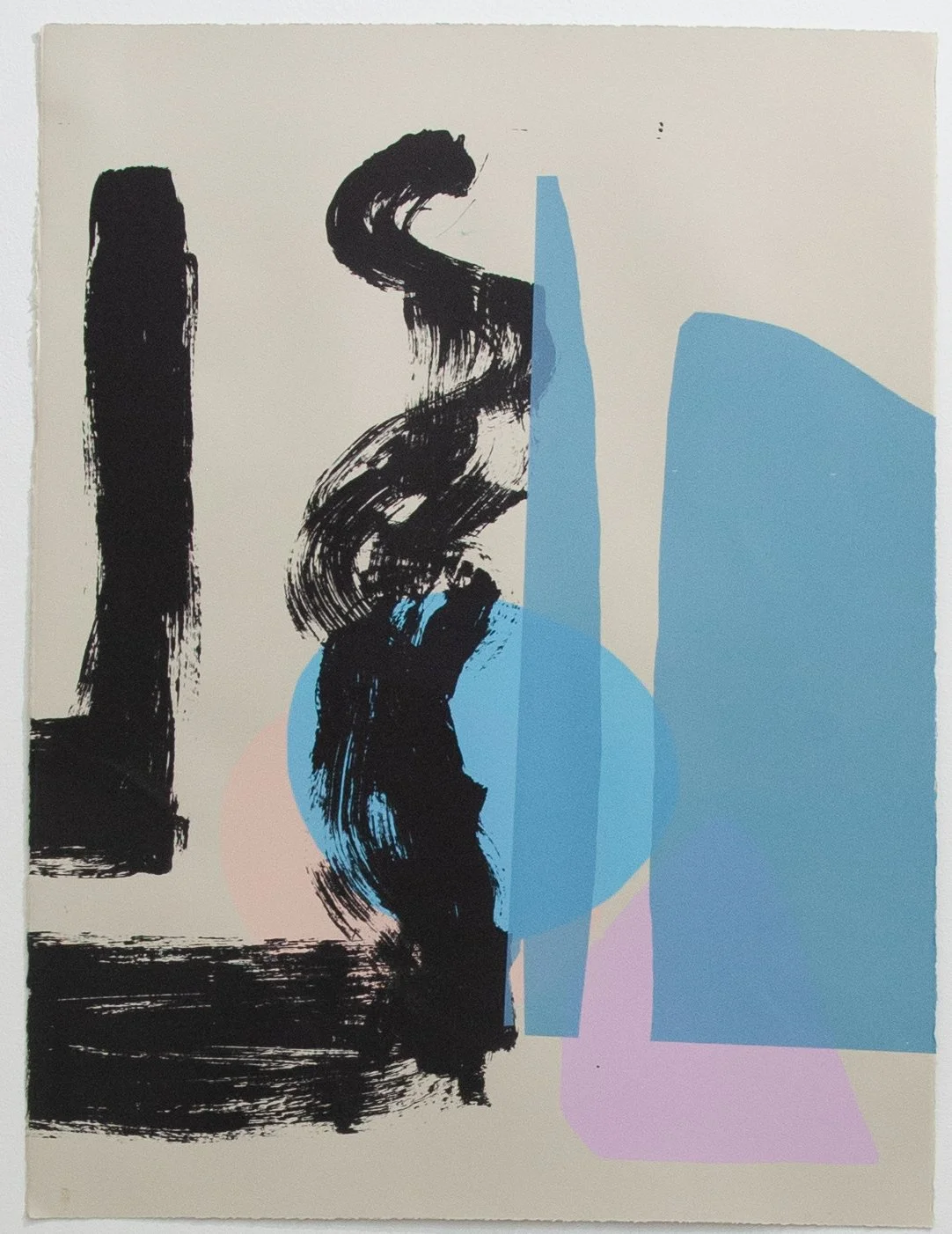 Pressed and Frango 12 by Beth Shapeero