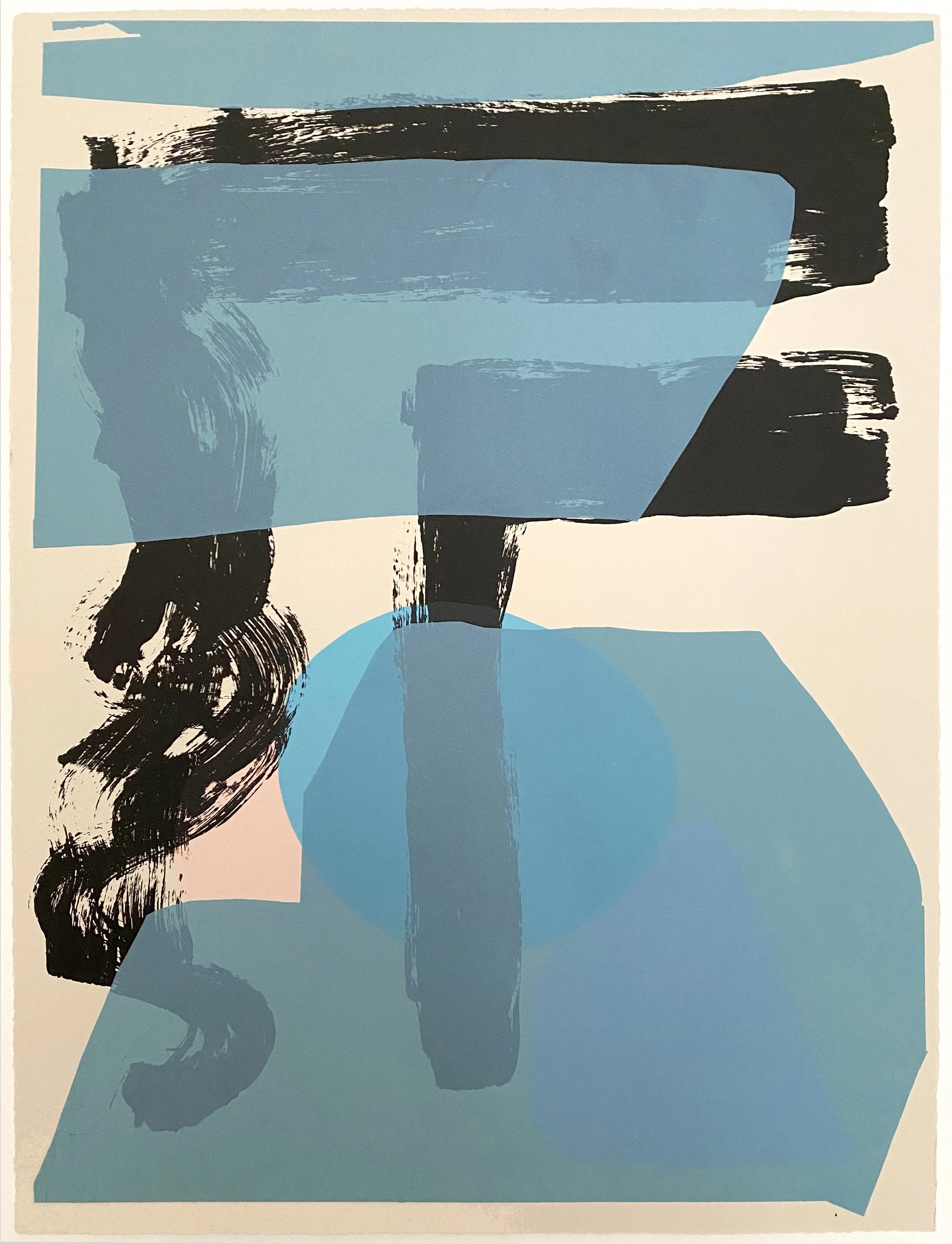 Pressed and Frango 16 by Beth Shapeero