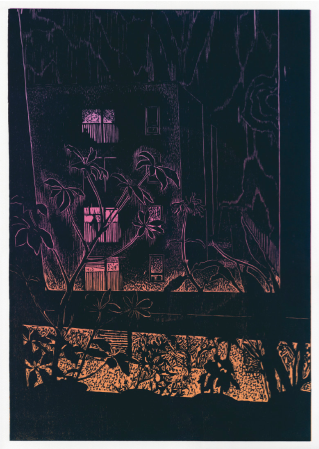 Night Descends by Anupa Gardner