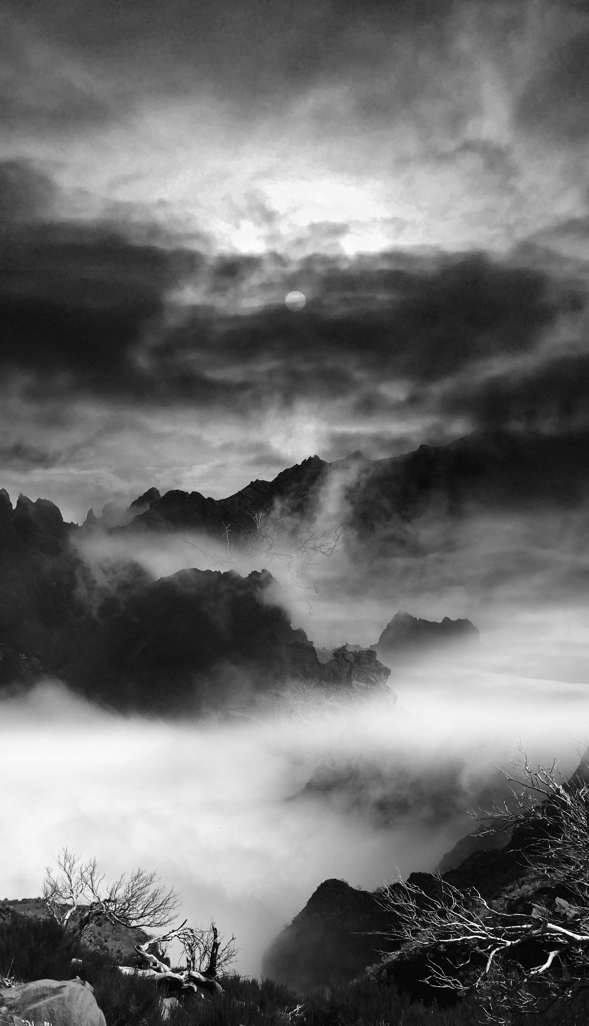 Cloudline by Kristina Chan