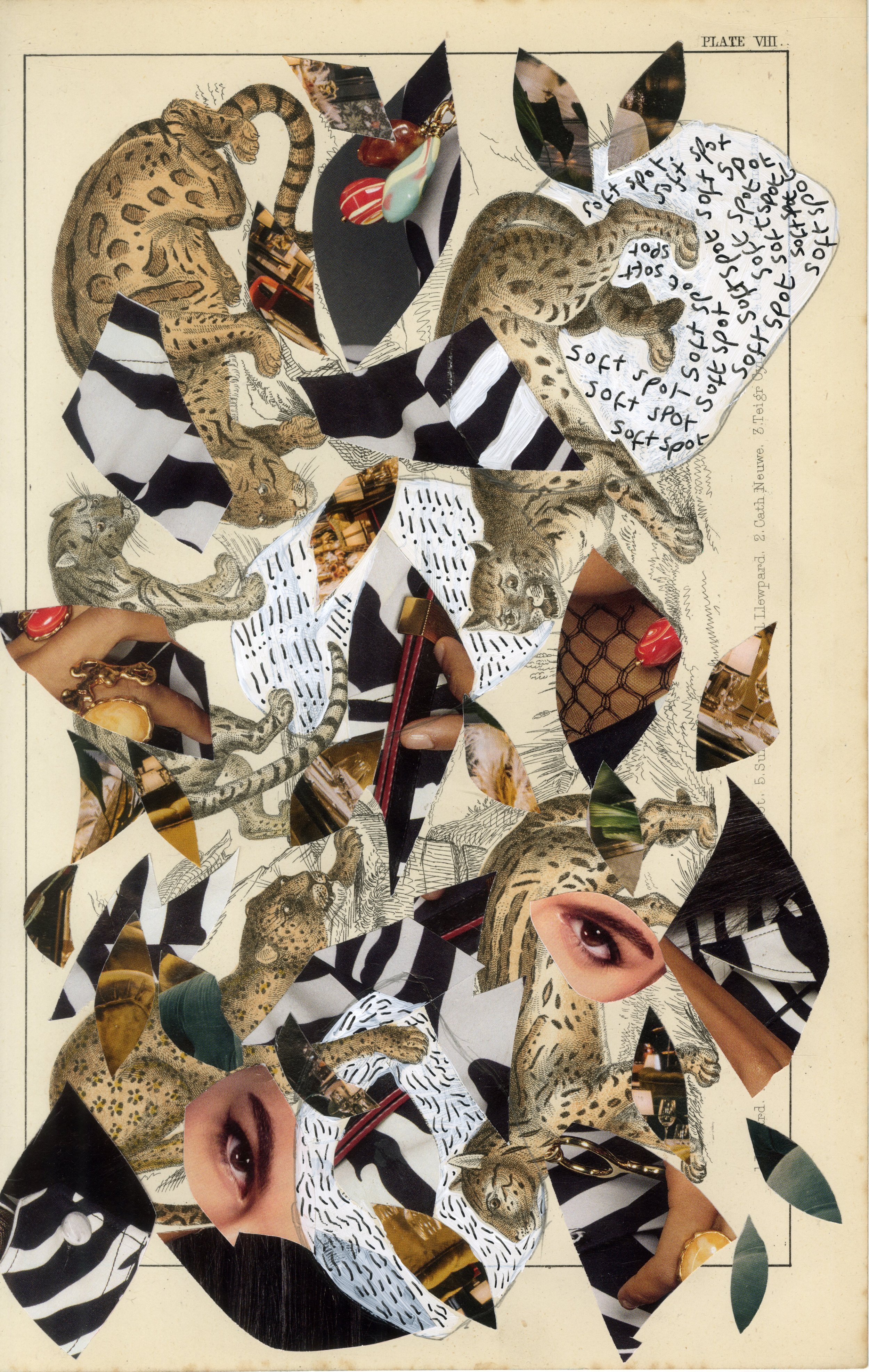 Soft spot by Catherine Street
