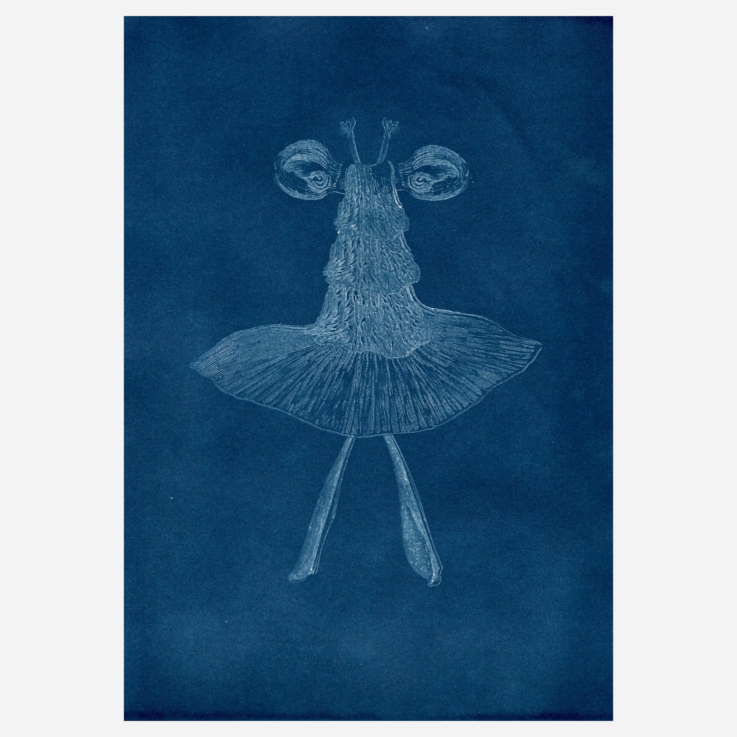 p2021/08 Wish on a star by Clare Burnett